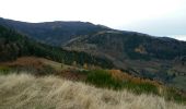 Tour Wandern Sankt Amarin - Saint Amarin la vue des alpes Haag Storkenkopf chalet ski club Edelweiss Hochstein SA - Photo 3