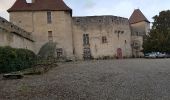 Tocht Stappen Aigueperse - Aigueperse_Chateau La Roche_T - Photo 4