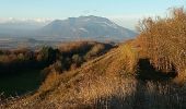 Tour Wandern Chanaz - Landry la crête  - Photo 2