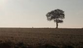 Randonnée Course à pied Bazougers - bazougers  - Photo 2