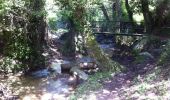 Trail Walking Sainte-Lucie-de-Tallano -  - Photo 7