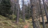Trail Running Roure - Roure Mont Autcellier en boucle  - Photo 3