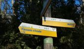 Trail Walking Flassans-sur-Issole - Flassans lac Redon reco 1 - Photo 7