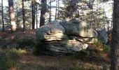 Tour Wandern Noisy-sur-École - canche  variante   - Photo 1