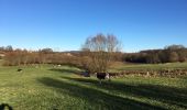 Excursión Senderismo Plombières - Montzen-Schymper-Moresnet-Moulin Schyns - Photo 18