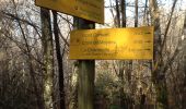 Trail Walking Brison-Saint-Innocent - Brison-Chambotte-Cx Meyrieu - Photo 4