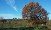 Tocht Stappen Orp-Jauche - Folx-les-Caves Nathalie Demain 06 12 2016 - Photo 12