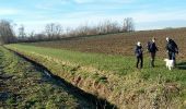 Tocht Stappen Orp-Jauche - Folx-les-Caves Nathalie Demain 06 12 2016 - Photo 10