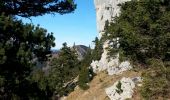 Tour Wandern Plateau-des-Petites-Roches - La dent de Crolles par le Pas de l'Oeille et le Sangle Barrère - Photo 1