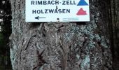 Randonnée Marche Rimbachzell - Rimbach-Zell -Glashutte (8/12/2016) - Photo 2