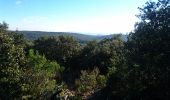 Excursión Bici de montaña Rochefort-du-Gard - Cherche Lykos, cherche!! - Photo 2