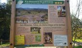 Trail Walking Gonfaron - Les Mayons reco partielle 1 le 10.12 16 - Photo 2