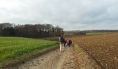 Excursión Senderismo Beauvechain - Tourinnes-la-Grosse 2 Proxirando 11-12-2016 - Photo 12