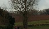 Tocht Stappen Bevekom - Tourinnes-la-Grosse 2 Proxirando 11-12-2016 - Photo 11