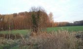 Tocht Stappen Bevekom - Tourinnes-la-Grosse 2 Proxirando 11-12-2016 - Photo 6