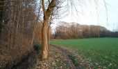 Tocht Stappen Bevekom - Tourinnes-la-Grosse 2 Proxirando 11-12-2016 - Photo 5