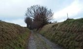 Tocht Stappen Bevekom - Tourinnes-la-Grosse 1 Proxirando 11-12-2016 - Photo 10