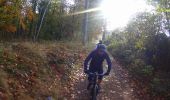 Trail Mountain bike Sint-Genesius-Rode - VTT des etangs - Photo 4