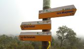 Trail Walking Gonfaron - Les Mayons 2 rando réelle 15-12-16. - Photo 3
