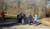 Percorso Marcia Lauw - Lauw vers le Lac du Seigneurie - Photo 9