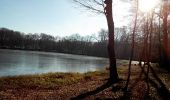 Excursión Senderismo Lauw - Lauw vers le Lac du Seigneurie - Photo 8