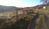 Tour Wandern Saint-Antoine l'Abbaye - st. Antoine l'Abbaye - Photo 13