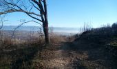 Trail Walking Saint-Antoine l'Abbaye - st. Antoine l'Abbaye - Photo 3