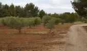 Tocht Stappen Mouriès - les caisses de Jean Jean - Photo 7