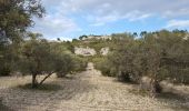 Excursión Senderismo Mouriès - les caisses de Jean Jean - Photo 1