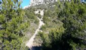 Trail Mountain bike Trets - les contreforts du mont Olympe - Photo 2