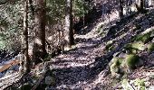 Trail Walking Les Houches - CHAMONIX (Les Houches) - Photo 7