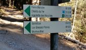 Trail Walking Les Houches - CHAMONIX (Les Houches) - Photo 6