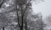 Randonnée V.T.T. Saint-Clément - sortie vtt du 31122016 dite la dernière de l'année  - Photo 1