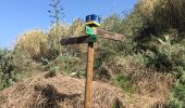 Trail Walking Teror - Teror-Cruz Hoya Alta - Photo 16