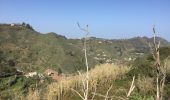 Trail Walking Teror - Teror-Cruz Hoya Alta - Photo 15