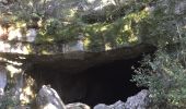 Tour Wandern Saint-Jean-du-Gard - la grotte de Rouville Gard GPS - Photo 4