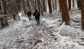 Trail Walking Jungholtz - Thierenbach-Berwiller (05-01-2017) - Photo 6