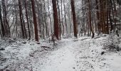 Trail Walking Jungholtz - Thierenbach-Berwiller (05-01-2017) - Photo 5