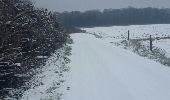 Tocht Mountainbike Saint-Clément - sortie vtt du 08012017 neige - Photo 6