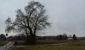 Excursión Senderismo Grez-Doiceau - Archennes 10 01 2017 Nathalie Demain - Photo 12