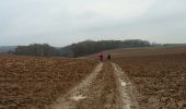 Excursión Senderismo Grez-Doiceau - Archennes 10 01 2017 Nathalie Demain - Photo 11