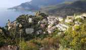 Randonnée Marche San-Martino-di-Lota - CapCorse1 - Photo 1