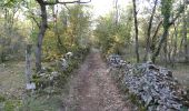 Trail Walking Limogne-en-Quercy - Mon Compostelle septième étape - Photo 1