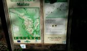 Excursión Senderismo Cilaos - La Réunion - Mafate (Marla) par le col du Taïbit - Photo 2