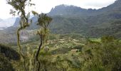 Trail Walking Cilaos - La Réunion - Mafate (Marla) par le col du Taïbit - Photo 6