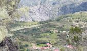 Tour Wandern La Possession - La Réunion - Retour de Mafate (Marla) à la route d'îlet à Cordes par le col du Taïbit. - Photo 19