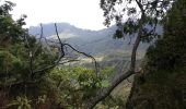 Tour Wandern La Possession - La Réunion - Retour de Mafate (Marla) à la route d'îlet à Cordes par le col du Taïbit. - Photo 15