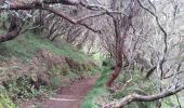 Tour Wandern La Possession - La Réunion - Retour de Mafate (Marla) à la route d'îlet à Cordes par le col du Taïbit. - Photo 11