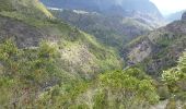 Excursión Senderismo La Possession - La Réunion - Retour de Mafate (Marla) à la route d'îlet à Cordes par le col du Taïbit. - Photo 6