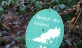 Tour Wandern Béthemont-la-Forêt - Reconnaissance Sainte Radegonde - Photo 13
